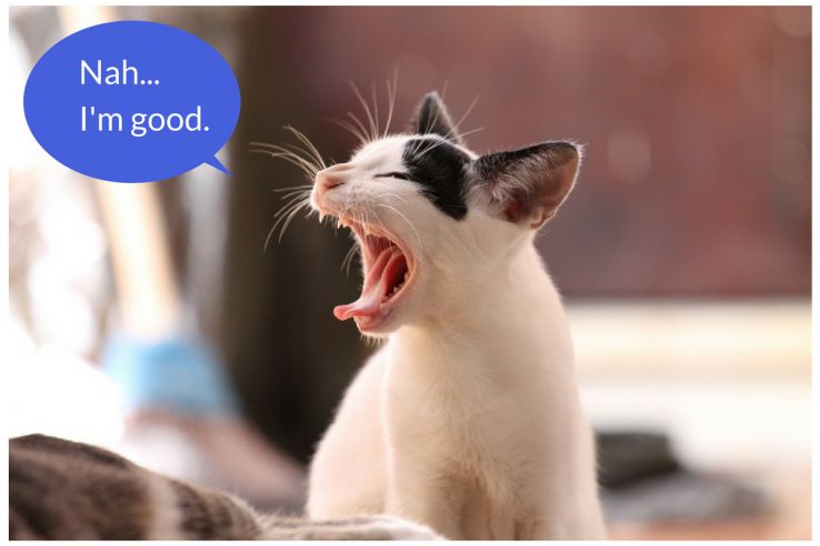 6 Tips to Make Your Brand an Email Response Rockstar