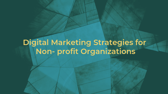 Digital marketing strategies for Non-Profit Organizations Guide