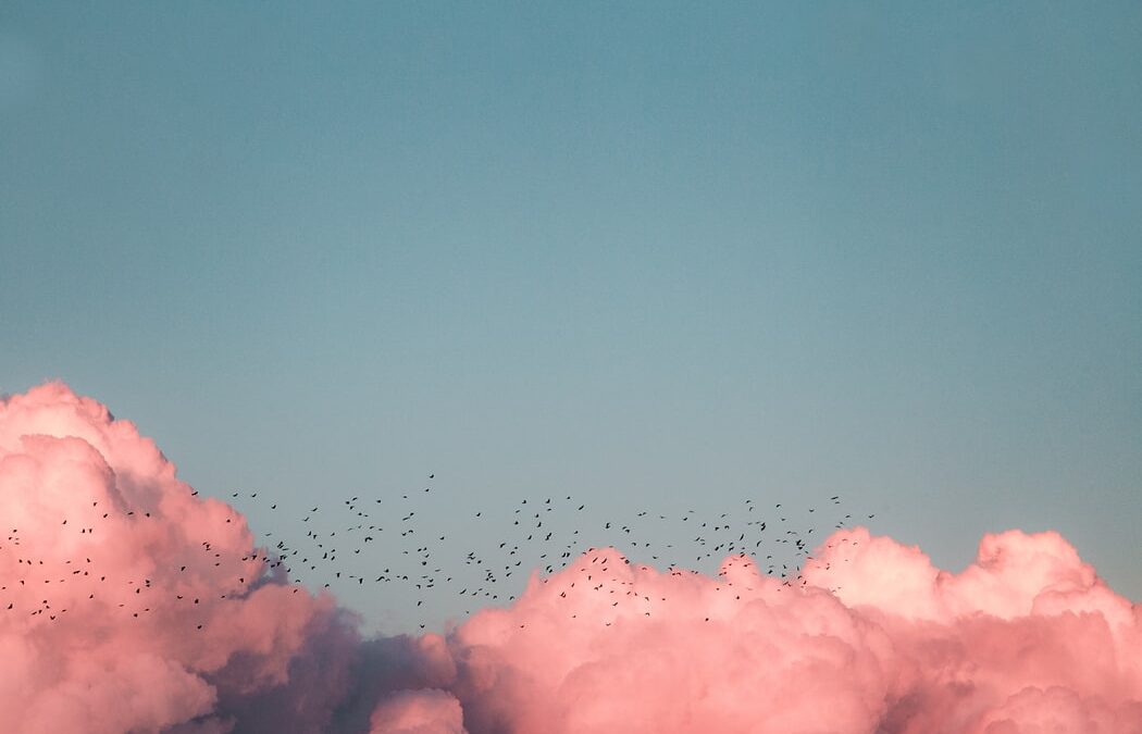 Introduction to Serverless Architecture in Cloud-based Applications