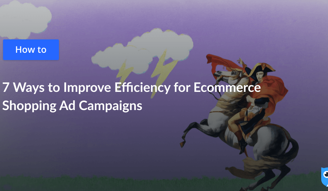 7 Ways to Improve Efficiency for Ecommerce Shopping Ad Campaigns