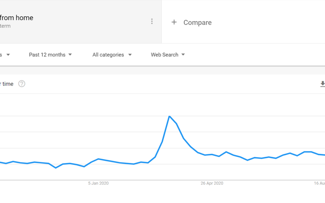 An SEO’s Experience in 2020: Opportunities and Challenges