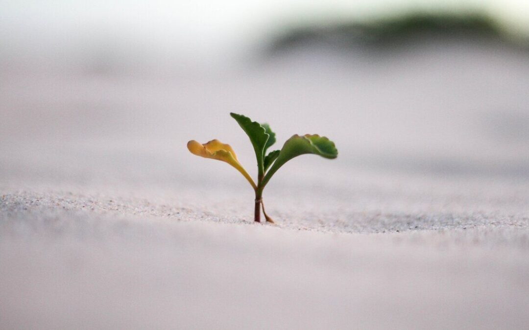 Let’s Get Growing: SaaS Experts Explain How to Accelerate Product Growth