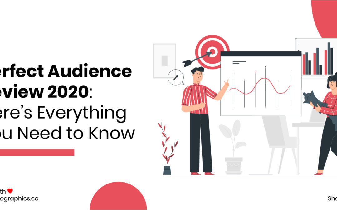 Perfect Audience Review 2020: Here’s Everything You Need to Know