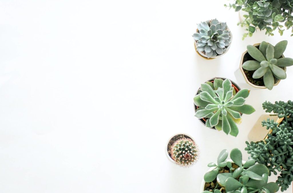 The Modern Approach to Enterprise Mobile Application Development