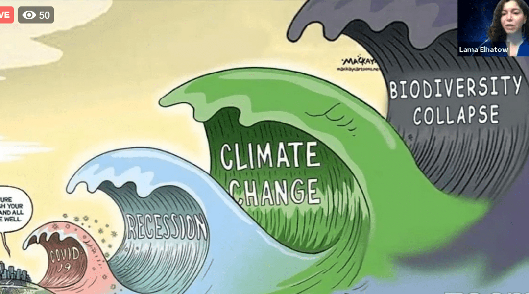 Using COVID-19 Adversity as a Business Opportunity