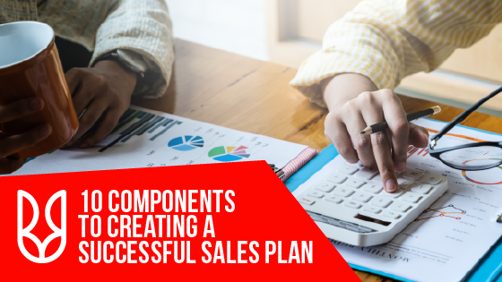 10 Components to Creating a Successful Sales Plan