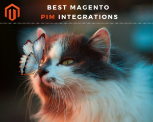 Best Magento PIM Software