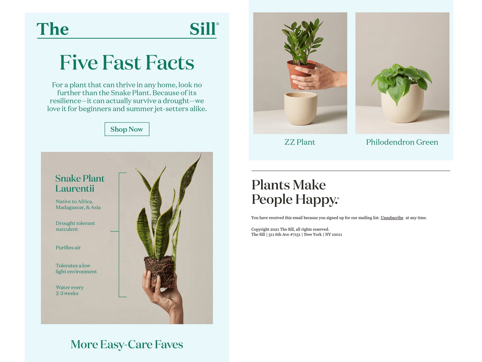 The Sill easy-care plants email